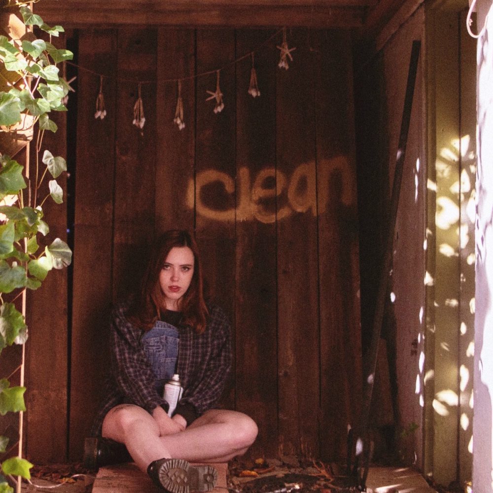 SOCCER MOMMY - CLEAN - LP