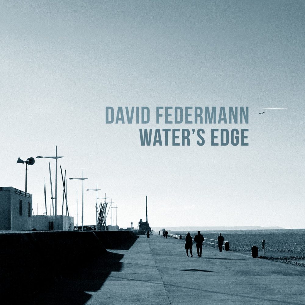 FEDERMANN, DAVID - WATER'S EDGE - LP