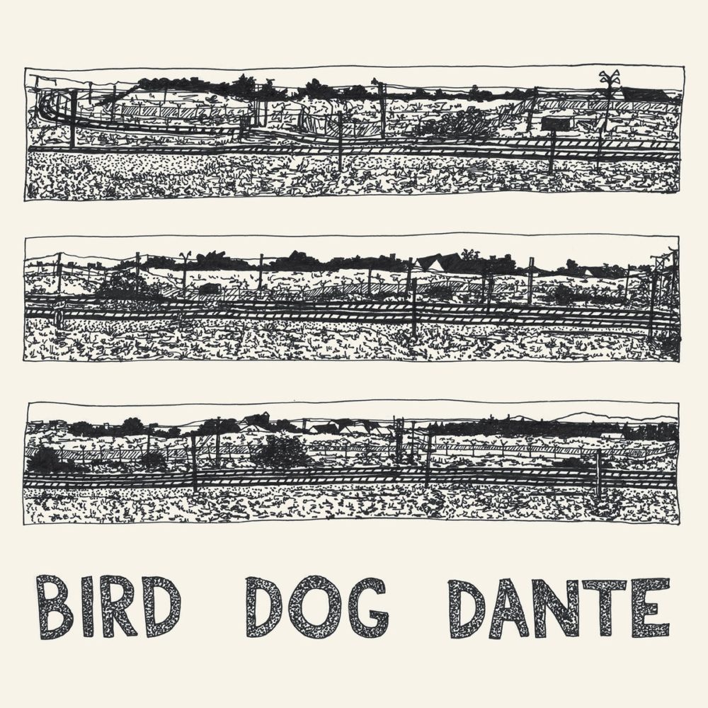 PARISH JOHN - BIRD DOG DANTE - LP