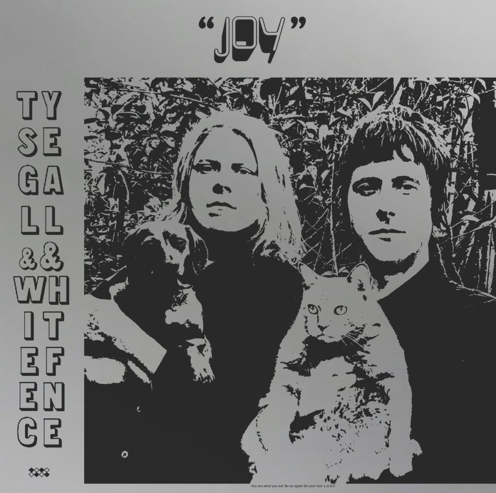TY SEGALL & WHITE FENCE - JOY - LP
