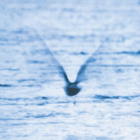 Mellow Dream by Ryo Fukui