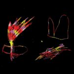 DICTAPHONE, THE - TIME FLIES - LP