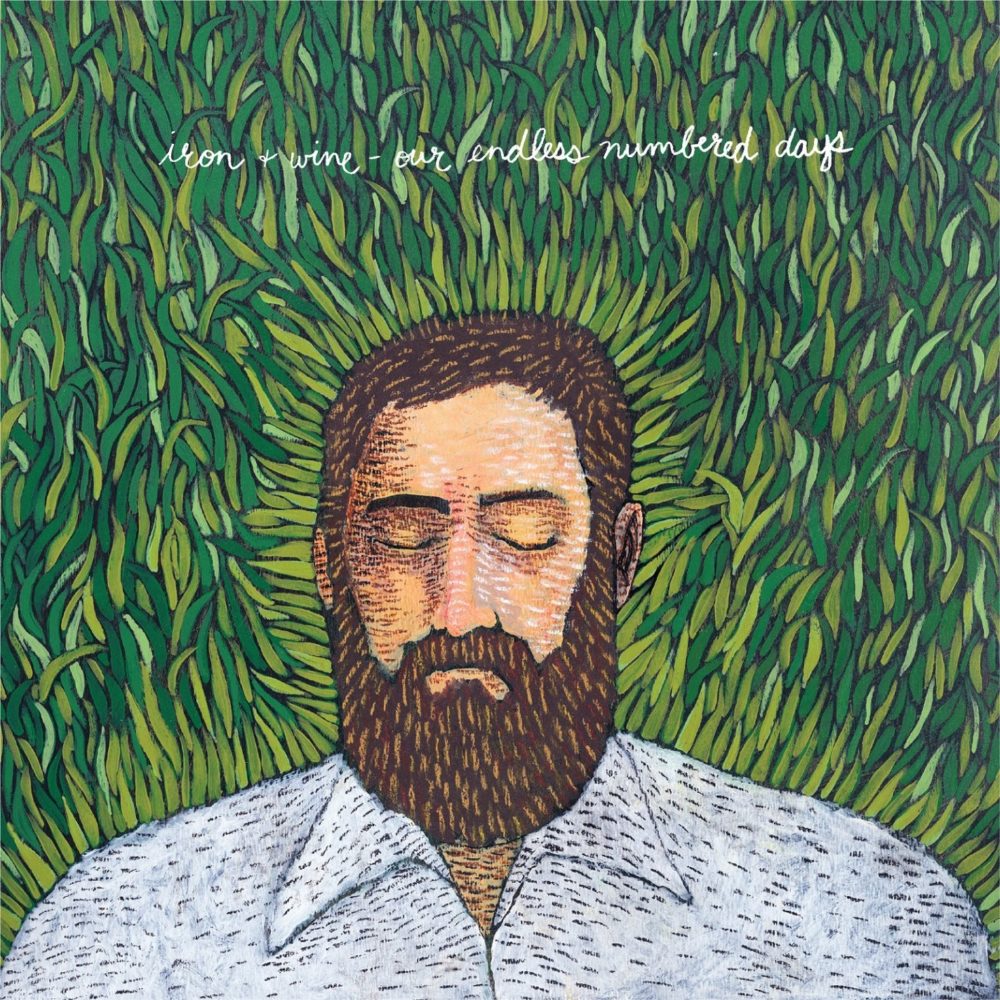 IRON & WINE - OUR ENDLESS NUMBERED DAYS - DELUXE - LP
