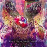 ACID MOTHERS TEMPLE & THE MELTING PARAISO UFO - INVISIBLE EYES AND PHANTOM CATHEDRAL - LP