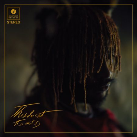 THUNDERCAT - IT IS WHAT IT IS (DELUXE) - LP