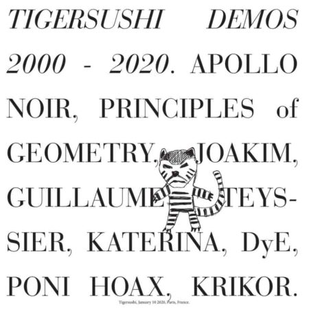 V/A - TIGERSUSHI DEMOS 2000-2020 - LP