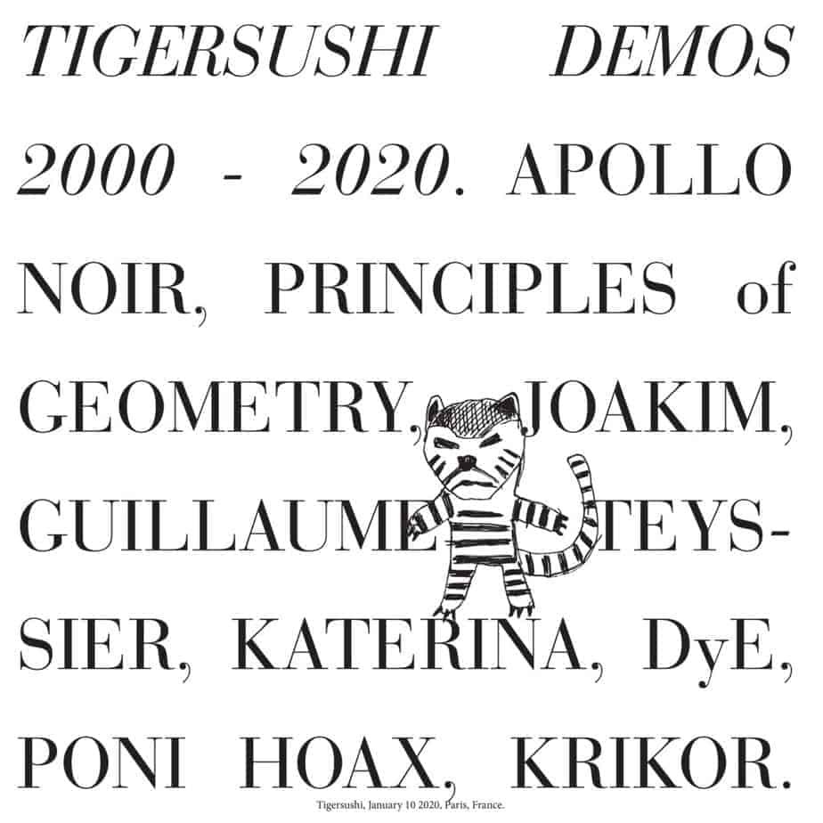 V/A - TIGERSUSHI DEMOS 2000-2020 - LP