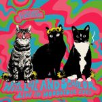 WE ARE SCIENTISTS - WITH LOVE AND SQUALOR LIVE IN WOODSTOCK 1969 - LP