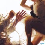 LUMP - ANIMAL (ED LIM VINYLE TURQUOISE ET BLANC) - LP