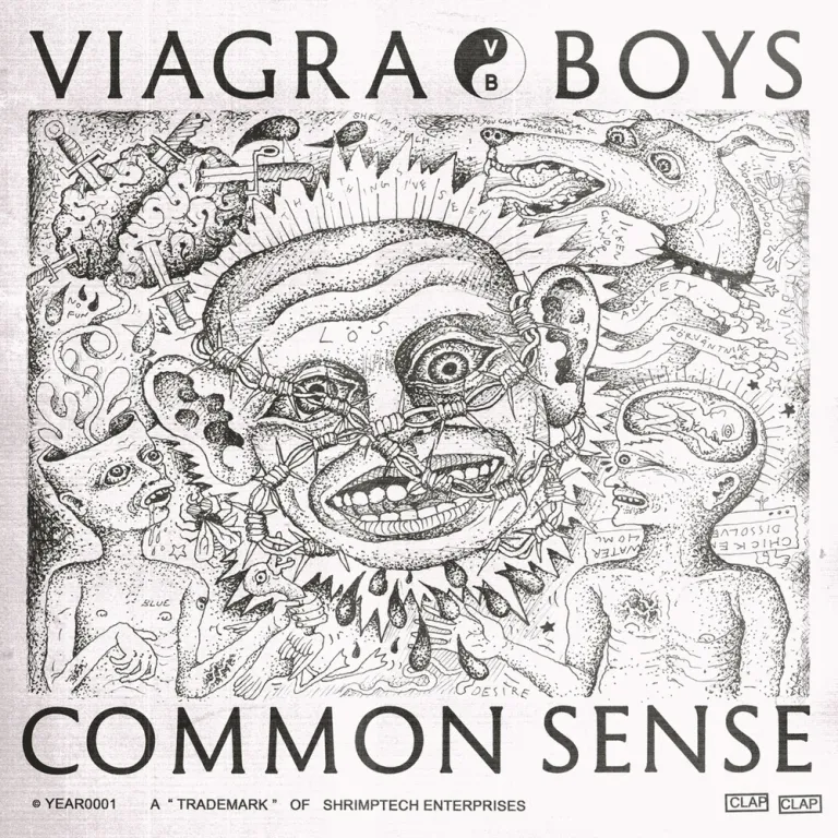 Viagra Boys – Common Sense 2020 VINYLE