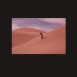BING AND TRUTH - SPECIES - LP