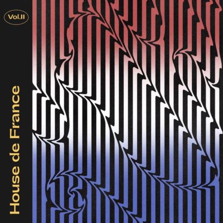 V/A - HOUSE DE FRANCE VOL2 - 12''