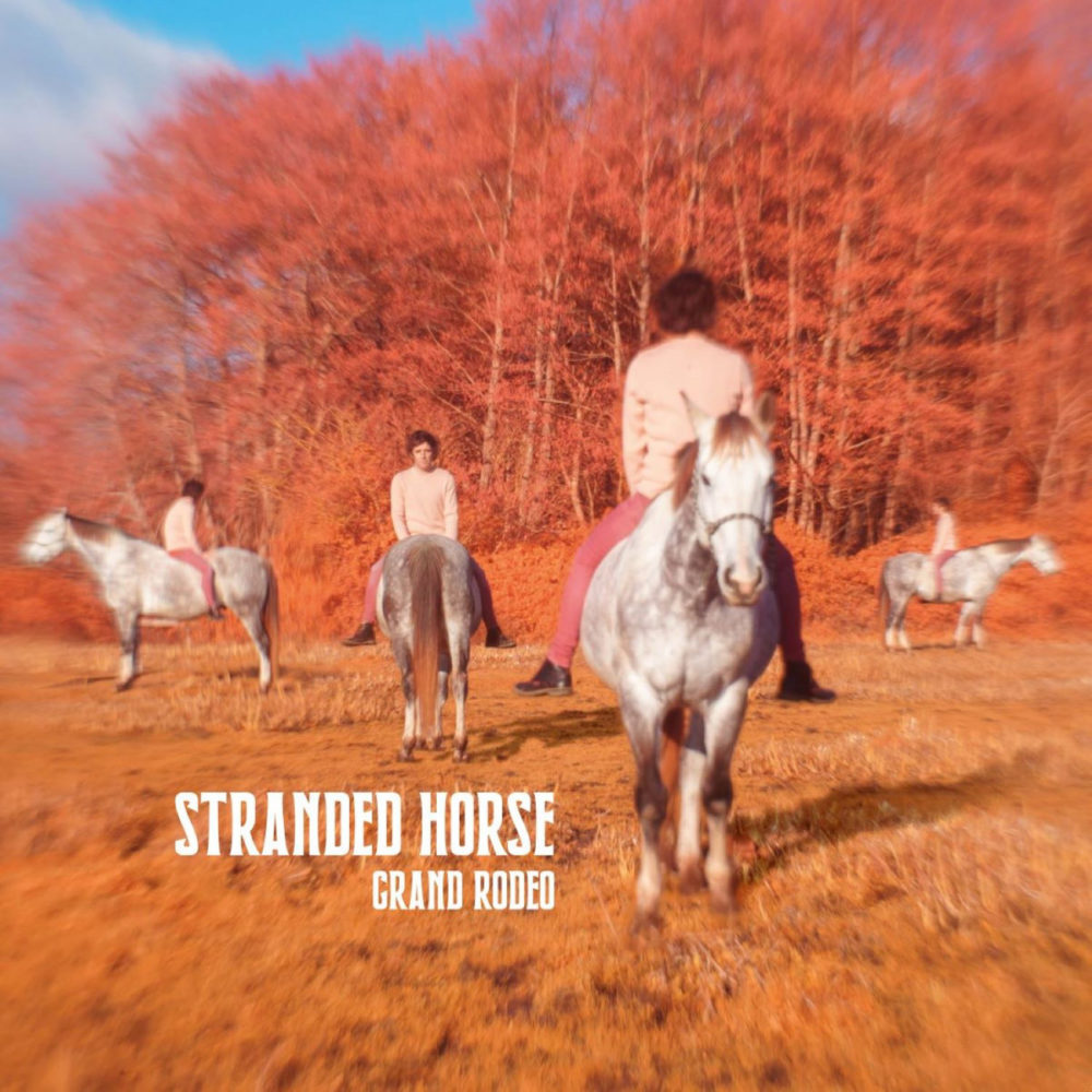 STRANDED HORSE LP