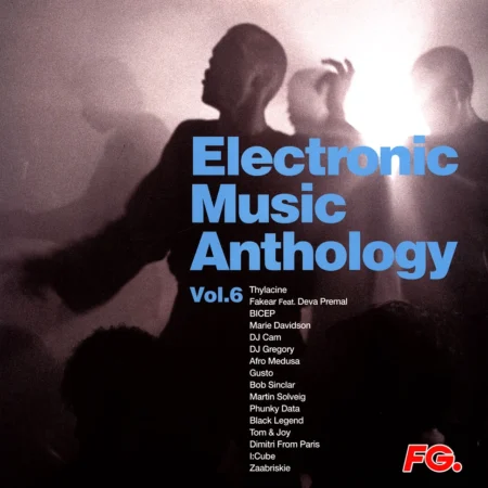 V/A - ELECTRONIC MUSIC ANTHOLOGY VOL.6 - LP