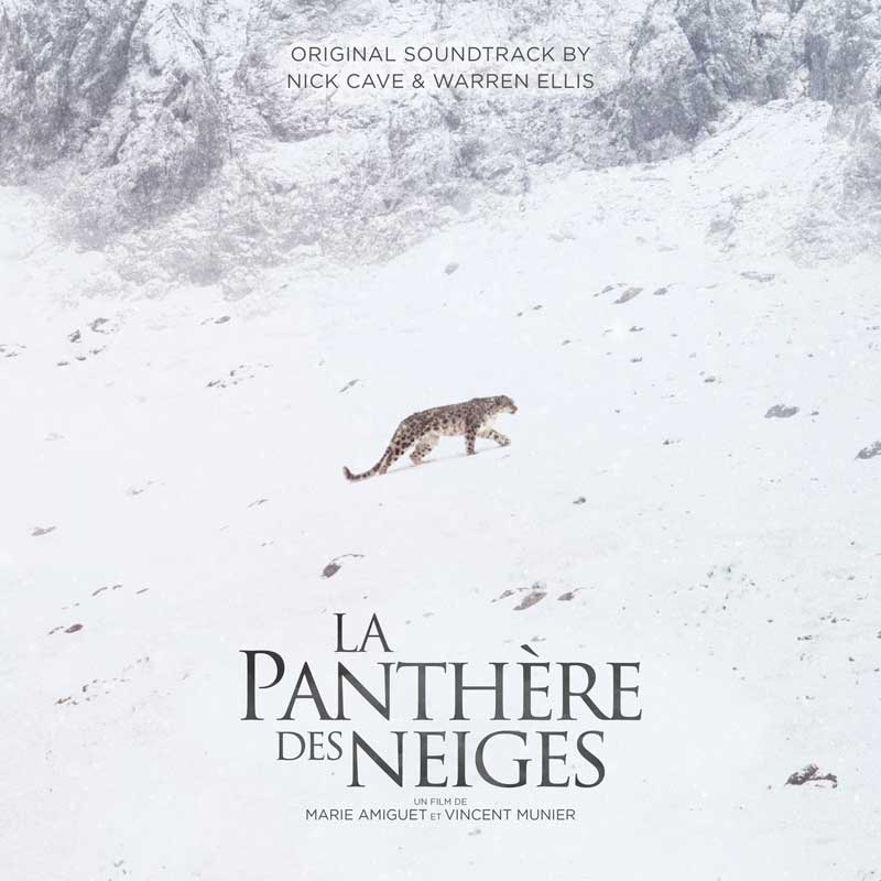 la-panthere-des-neiges-nick-cave VINYL 33 TOURS DISQUE VINYLE LP PARIS MONTPELLIER GROUND ZERO PLATINE PRO-JECT