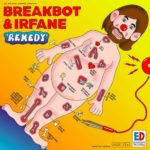 BREAKBOT & IRFANE - REMEDY - 2022 - VINYL 33 TOURS DISQUE VINYLE LP PARIS MONTPELLIER GROUND ZERO PLATINE PRO-JECT