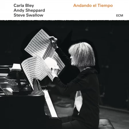 01 CARLA BLEY VINYL 33 TOURS DISQUE VINYLE LP PARIS MONTPELLIER GROUND ZERO PLATINE PRO-JECT ALBUM TOURNE-DISQUE