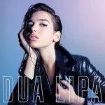 DUA LIPA - S T - VINYL 33 TOURS DISQUE VINYLE LP PARIS MONTPELLIER GROUND ZERO PLATINE PRO-JECT ALBUM TOURNE-DISQUE