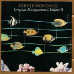 steviewonder-musiquarium-1_1800x-1024x1024