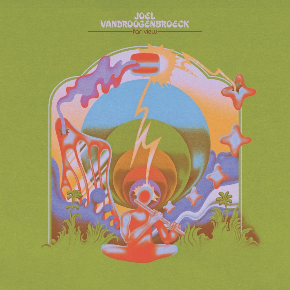 VANDROOGENBORECK, JOEL - FOR VIEW - LP