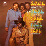 S.O.U.L. WHAT IT IS 1971 FUNK VINTAGE U.S.A. VINYL 33 TOURS DISQUE VINYLE LP PARIS MONTPELLIER GROUND ZERO PLATINE PRO-JECT ALBUM TOURNE-DISQUE MUSICAL FIDELITY KANTU YU BRINGHS ORTOFON 45 TOURS SINGLES ALBUM ACHETER UNE PLATINE VINYLS BOUTIQUE PHYSIQUE DISQUAIRE MAGASIN CENTRE VILLE INDES INDIE RECORD STORE INDEPENDENT INDEPENDANT