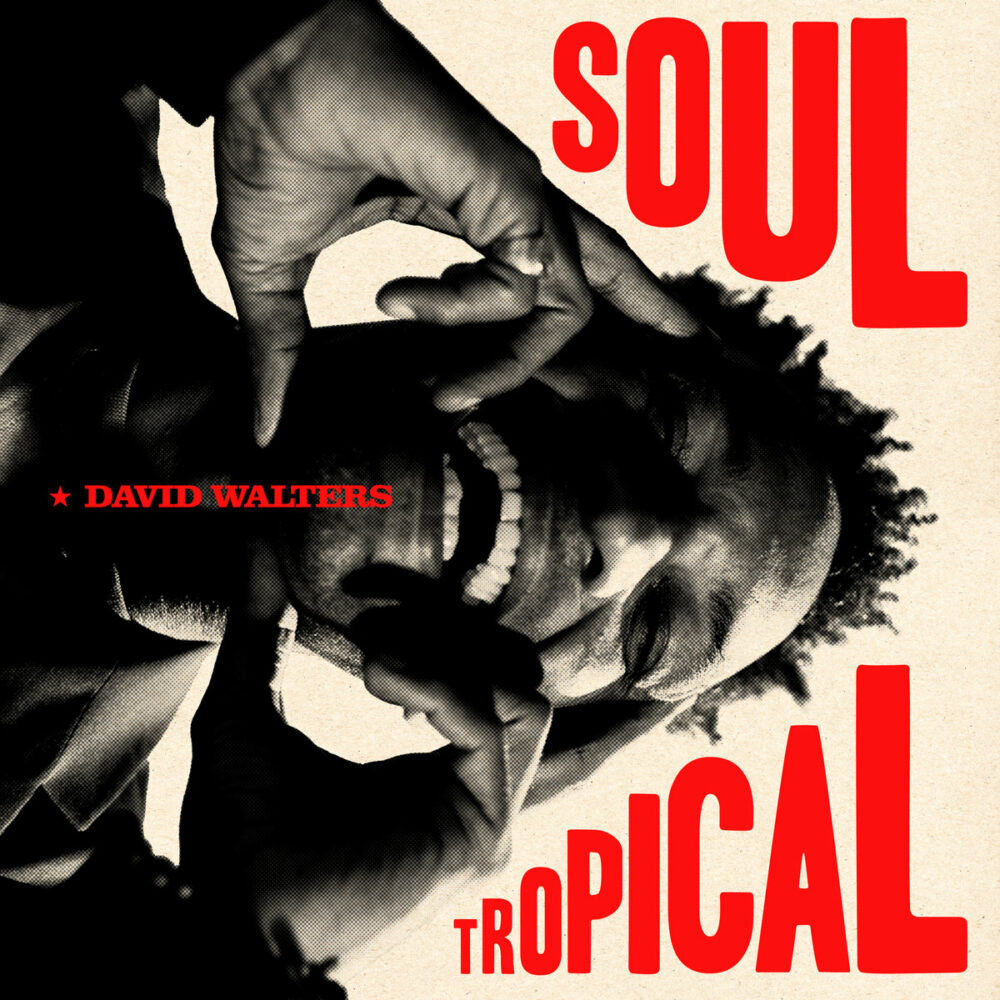 WALTERS, DAVID - SOUL TROPICAL - LP