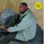 VARNISH LA PISCINE - THIS LAKE IS SUCCESFULL - VINYLE - 2023 - LP - ED BANGER RECORDS