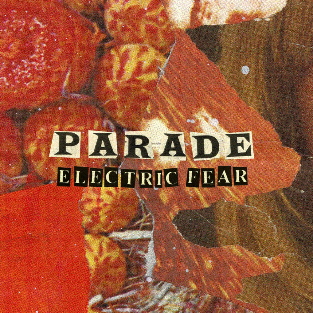 PARADE - IT ALL WENT BAD SOMEHOW - LP