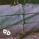 DIVIDE & DISSOLVE - SYSTEMIC - LP