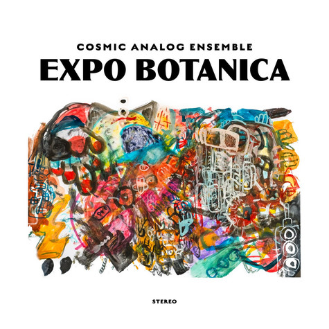COSMIC ANALOG ENSEMBLE - EXPO BOTANICA - LP