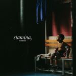 DINOS STAMINA MEMENTO VINYLE LP REEDITION 2023