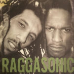 RAGGASONIC - S T - LP