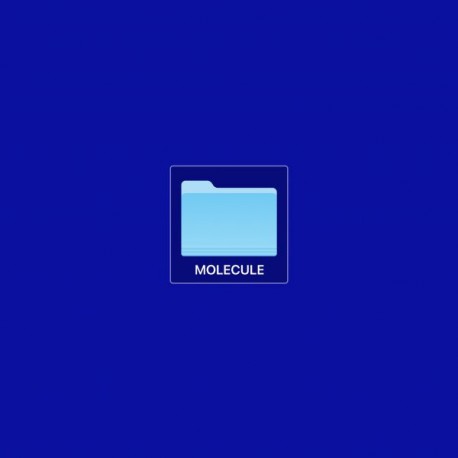 MOLECULE - RE 201 - LP