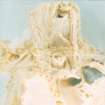 PALE SAINTS - IN RIBBONS - VINYLE