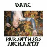 01 DANIEL DARC PARENTHESE ENCHANTEE VINYLE 02