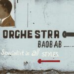 ORCHESTRA BAOBAB - SPECIALIST IN ALL STYLES (2LP 180GR) - LP 01