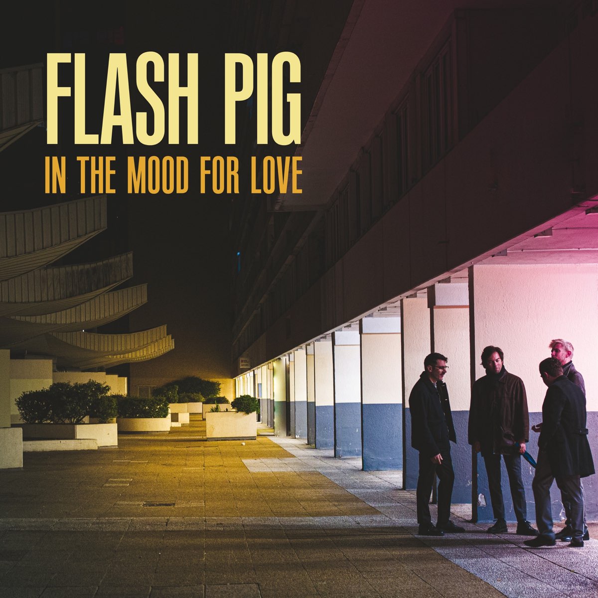 FLASH PIG – THE MOOD FOR LOVE – LP