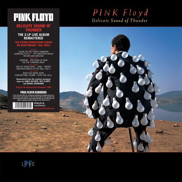 PINK FLOYD - DELICATE SOUND OF THUNDER - LP 01