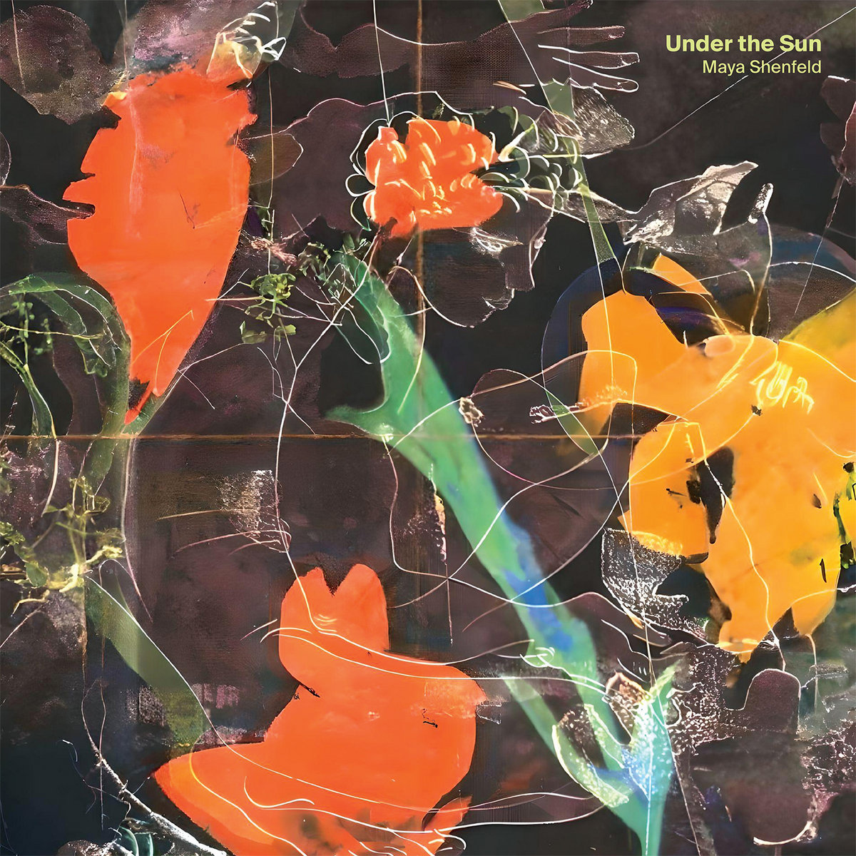 SHENFELD, MAYA - UNDER THE SUN (EDITION LIMITEE VINYLE JAUNE) - LP 01