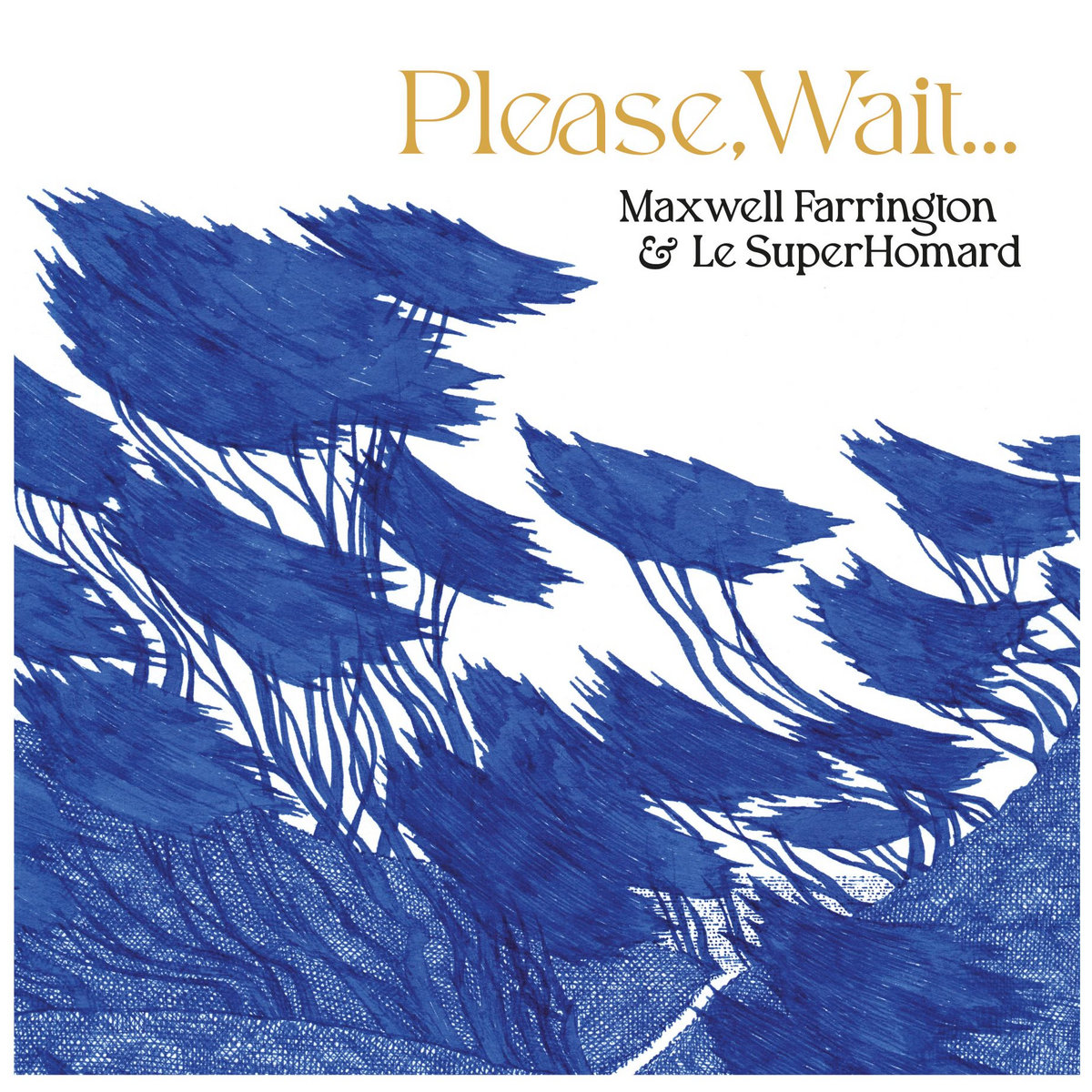 FARRINGTON MAXWELL & LE SUPERHOMARD – PLEASE, WAIT… (EDITION LIMITEE DISQUAIRES INDES) – LP