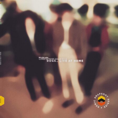 DOGS... LIVE AT HOME