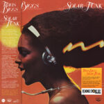 TRAVIS BIGGS - SOLAR FUNK - LP