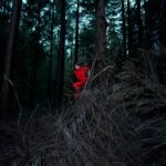 BREUT, FRANCOIZ – VIF! – LP