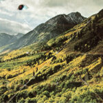 WOODS - SONGS OF SHAME - LP