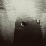 Artistes Bardino Labels Jazzego Catno JAZZEGO009 Formats 1x Vinyl LP Pays Portugal Date 15 mars 2024 Genres Jazz Styles Jazz Future Jazz