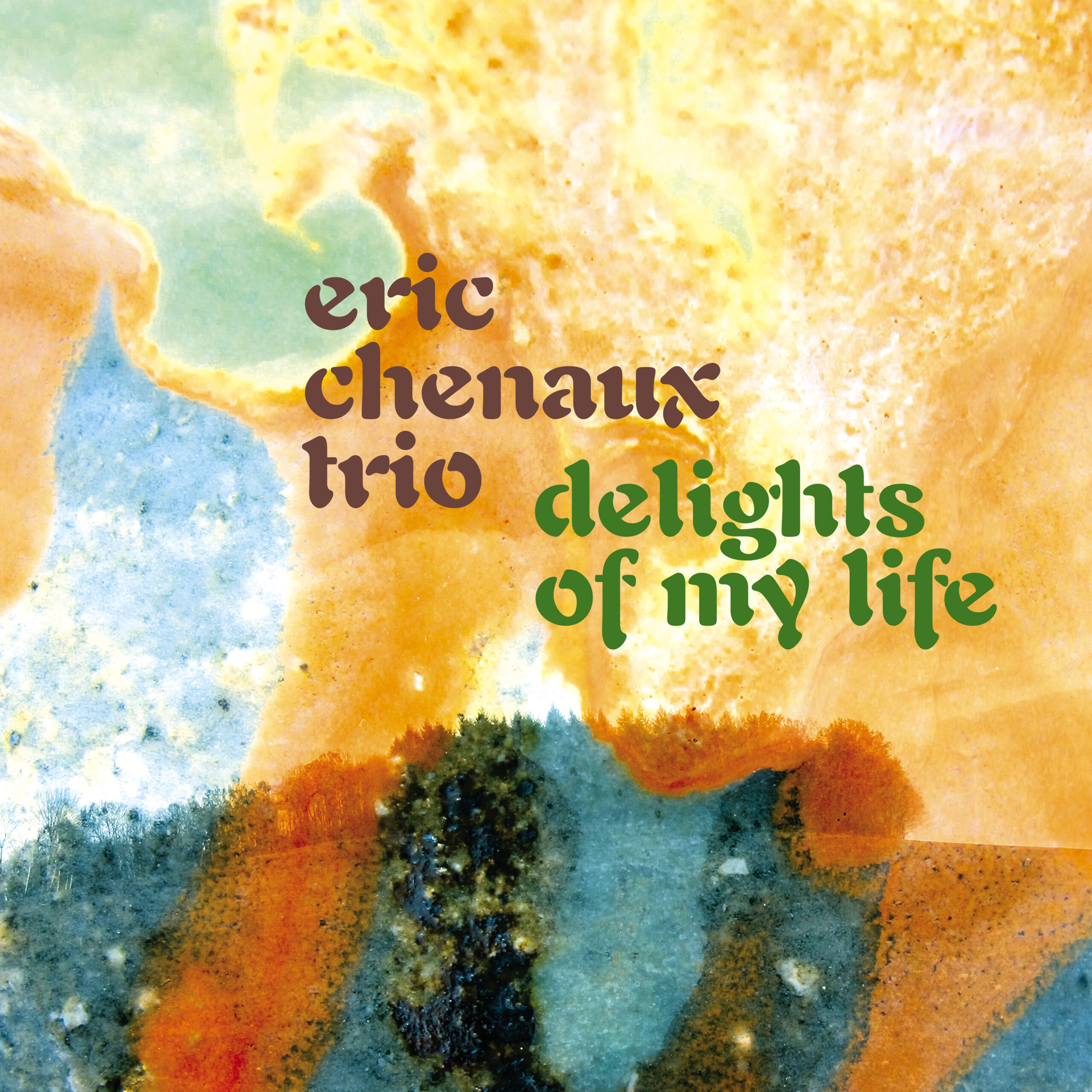 ERIC CHENAUX TRIO - DELIGHTS OF MY LIFE - LP