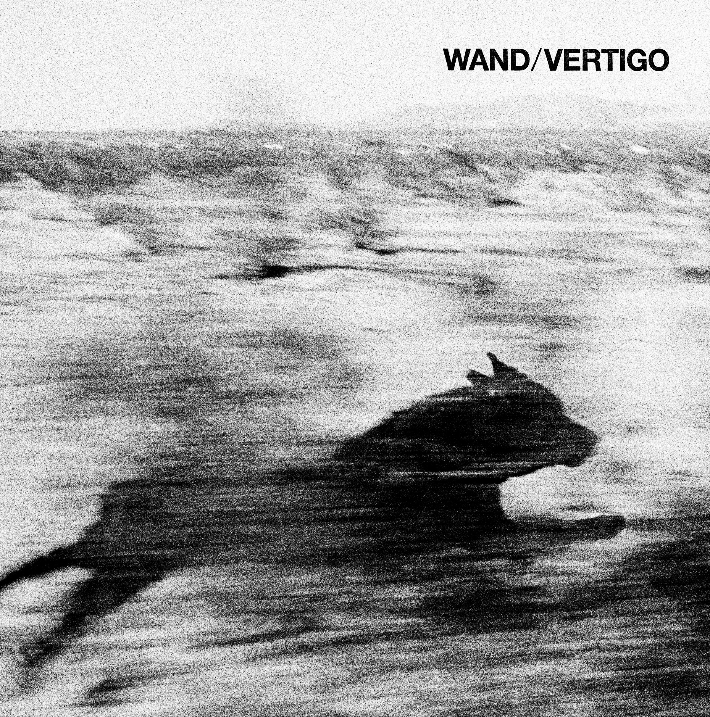WAND - VERTIGO - LP
