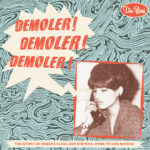 V/A – DEMOLER ! DEMOLER ! DEMOLER ! – LP