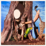 O'NEIL TARA JANE - THE COOL CLOUD OF OKAYNESS - LP