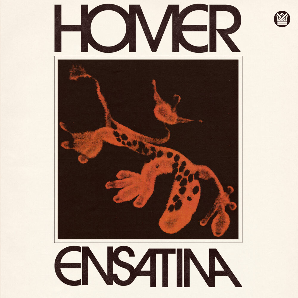 HOMER - ENSATINA